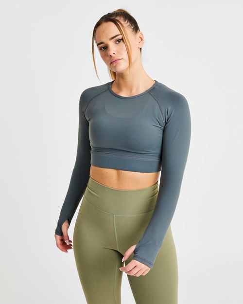 AYBL Core Long Sleeve Crop Top Siva | 89NOJCZAU