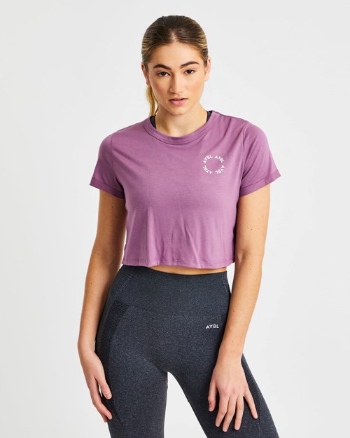 AYBL Element Crop Top Nachový | 10FEKIZPO