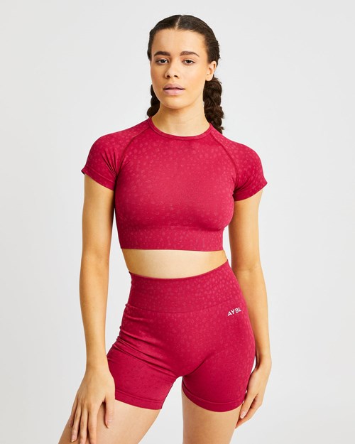 AYBL Evolve Speckle Seamless Crop Top Raspberry | 21BPVSYNU