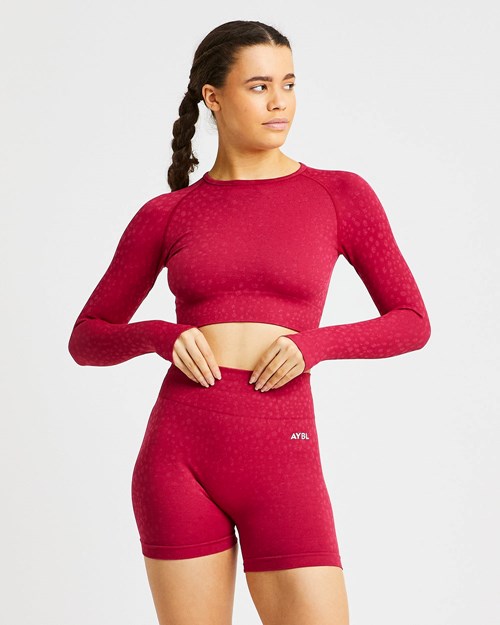 AYBL Evolve Speckle Seamless Long Sleeve Crop Top Raspberry | 84JRLEBAC