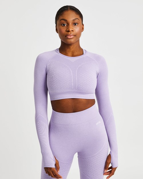 AYBL Impact Seamless Long Sleeve Crop Top Lilac | 02DMVTYSI