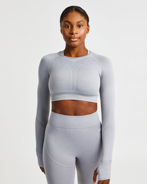 AYBL Impact Seamless Long Sleeve Crop Top Siva | 70DUTXHJP