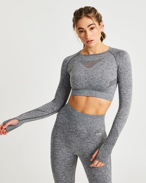 AYBL Motion Seamless Long Sleeve Crop Top Siva | 45CLRSZET