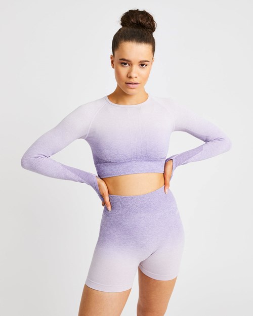 AYBL Pulse Ombré Seamless Long Sleeve Crop Top Lilac | 32MHVBRKX