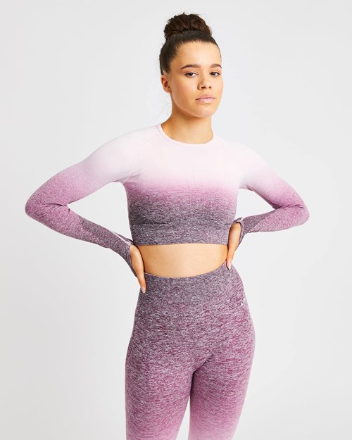 AYBL Pulse Ombré Seamless Long Sleeve Crop Top Plum | 89VPYLDMS