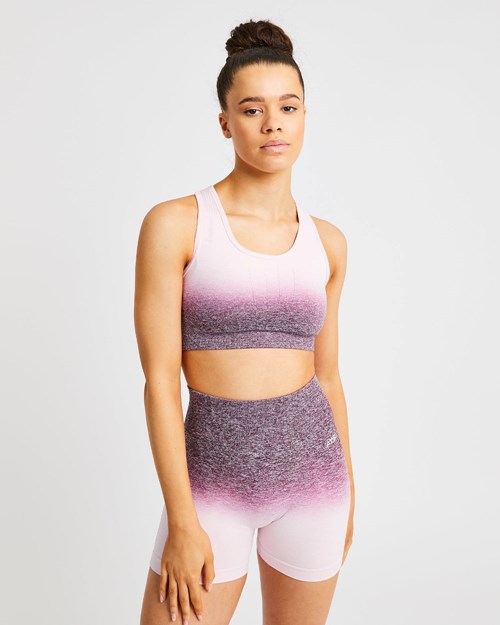 AYBL Pulse Ombré Seamless Sports Bra Plum | 59XINCSZJ