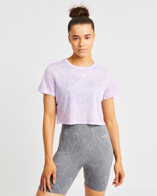 AYBL Velocity Crop T Shirt Lilac | 10GXZCYNP