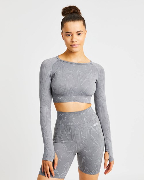 AYBL Velocity Seamless Long Sleeve Crop Top Siva | 10UPMTCVL