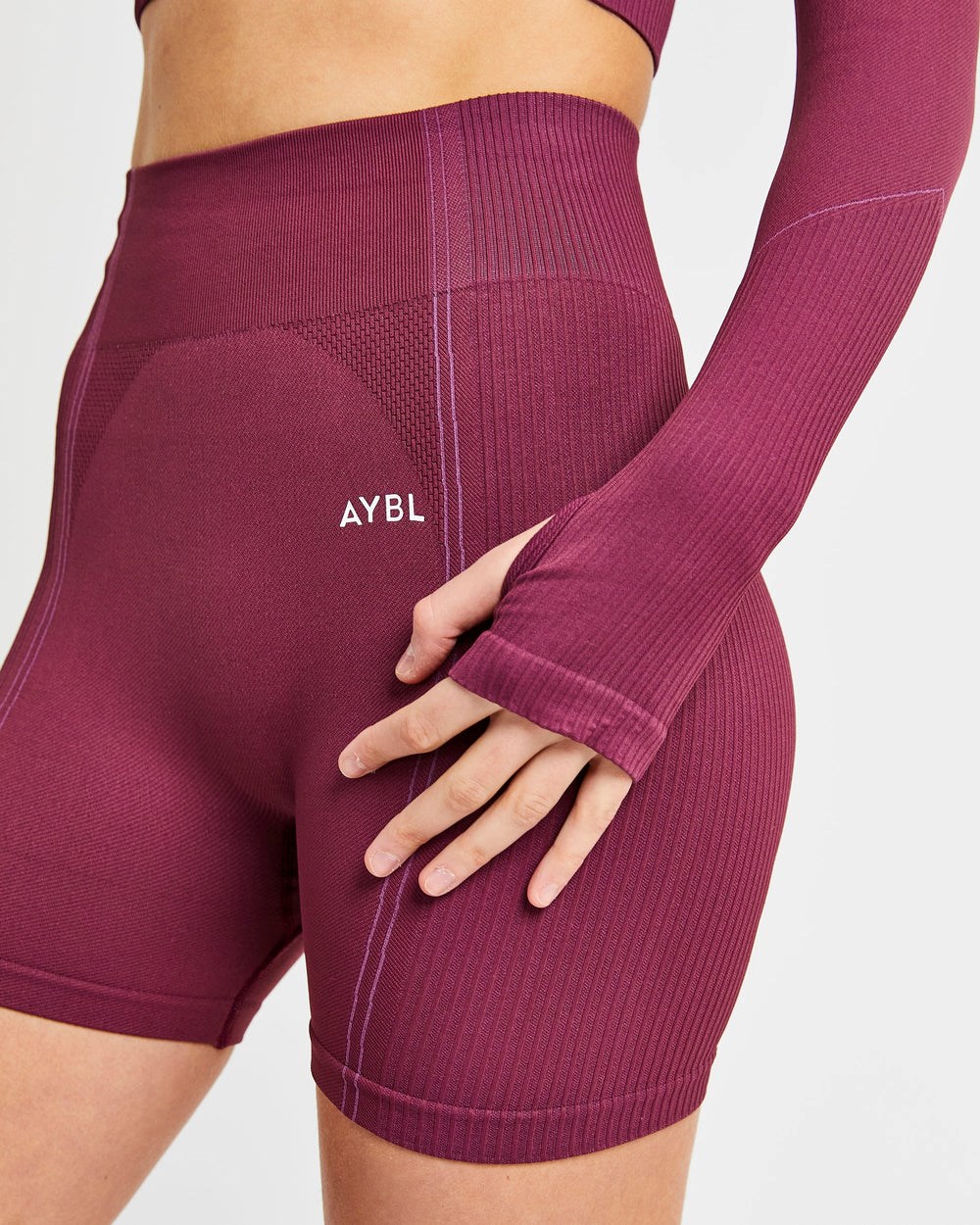 AYBL Reflex Seamless Long Sleeve Crop Top Plum | 13EYBGZPT